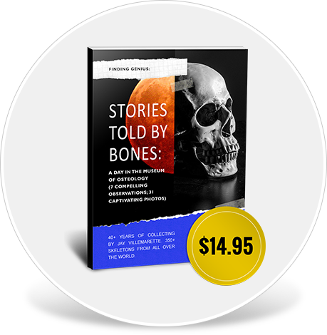 bone Museum Book